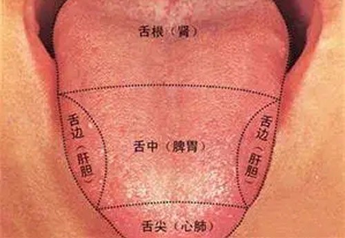 为什么舌面象仪‍会有这么高的准确率？