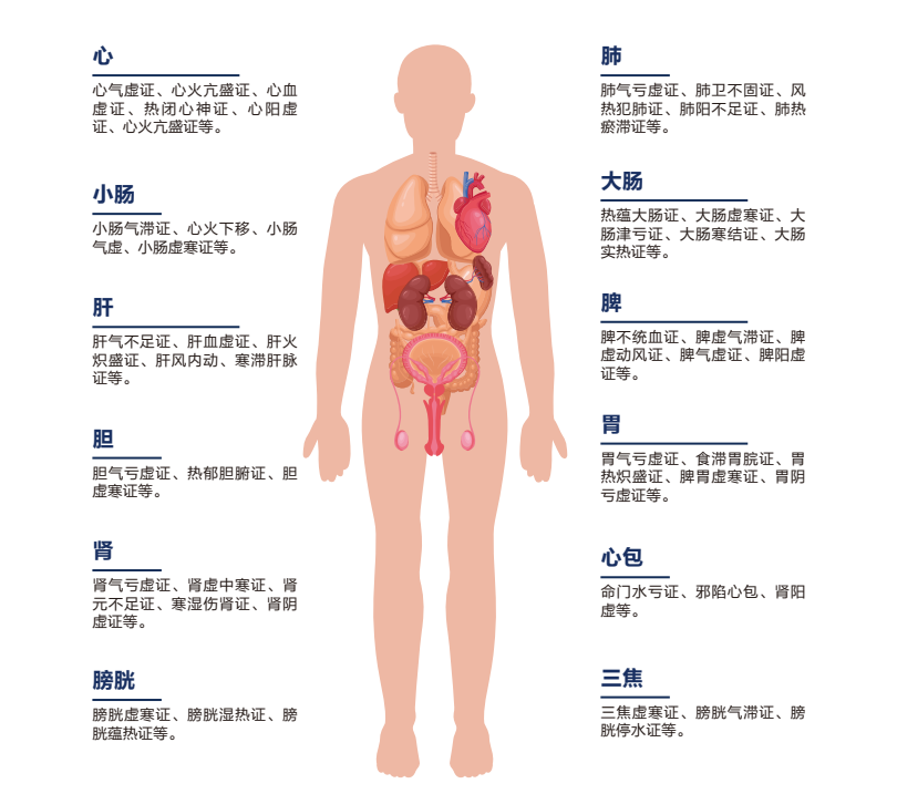 中医四诊智能诊断系统 中医四诊智能诊断系统